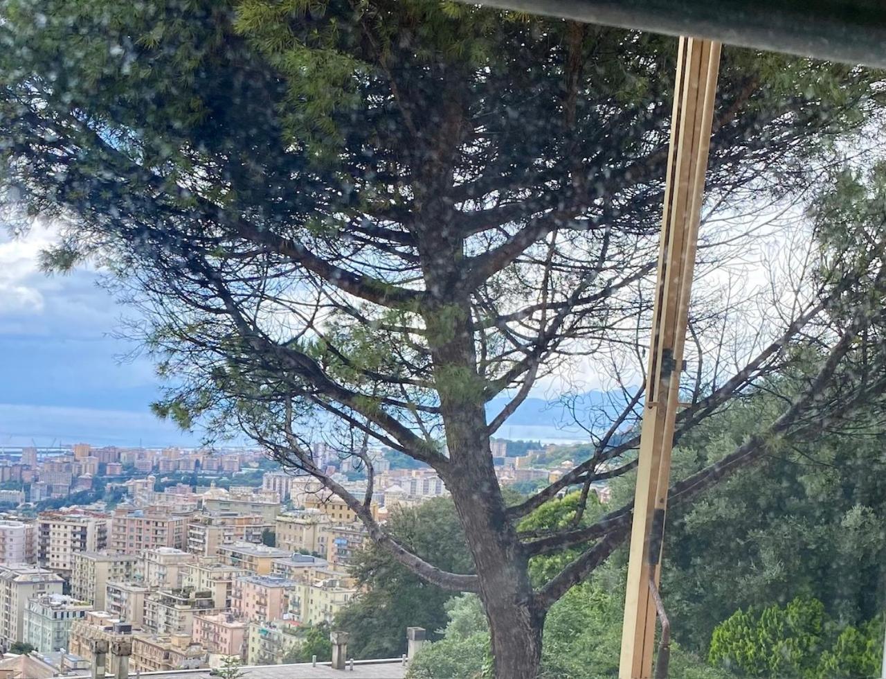 Genoa View & Hiking In Italian Riviera Lejlighed Eksteriør billede