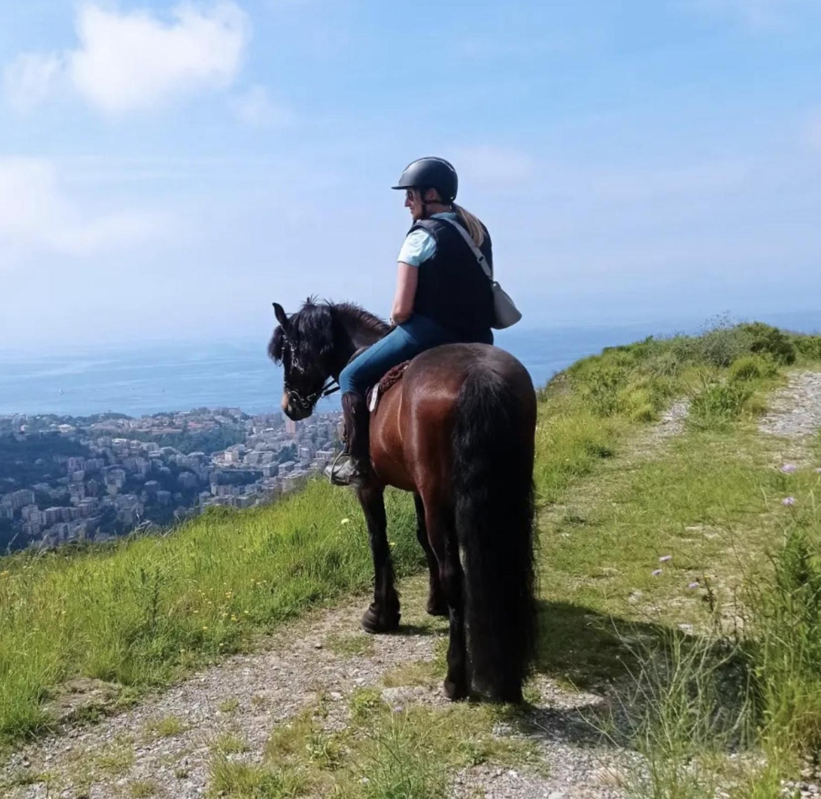 Genoa View & Hiking In Italian Riviera Lejlighed Eksteriør billede